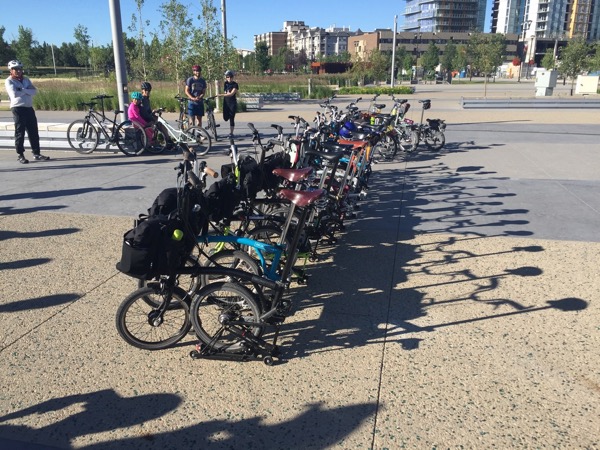 Bikes lined up for the Cyclepalooza Foldie Fondo