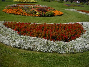 Gardens neat in rows