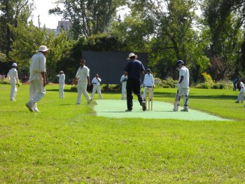 Cricket on the greens