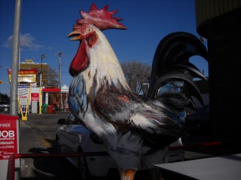 That’s one giant chicken!